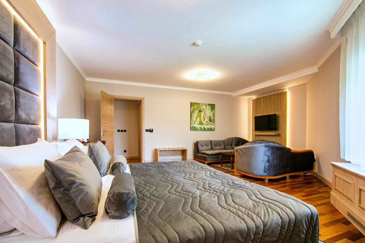 A Hoteli - Hotel Izvor Arandjelovac Exterior photo Suite